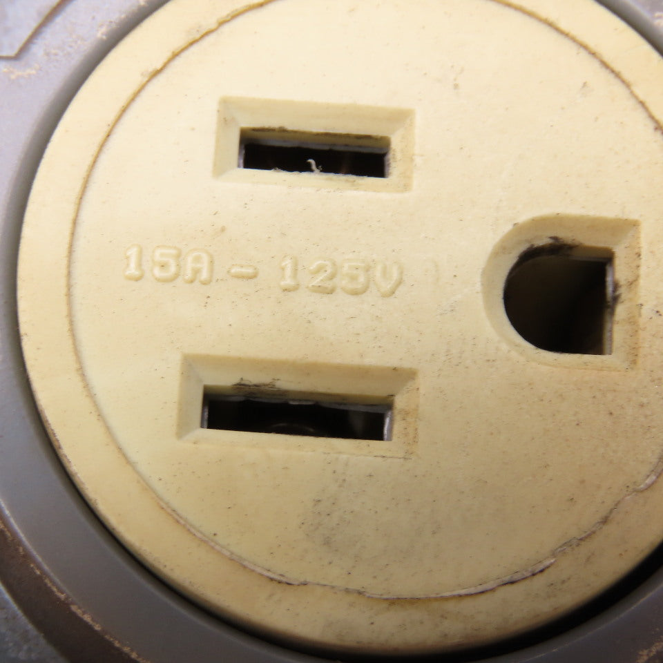 Berker 15A 125V Single Gang Self Closing Receptacle Box IP44 Splash Proof