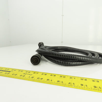 Sinz PT707 MS3018A 20-29SW 10' 17 Pin Right Angle Female x Straight Male Cordset