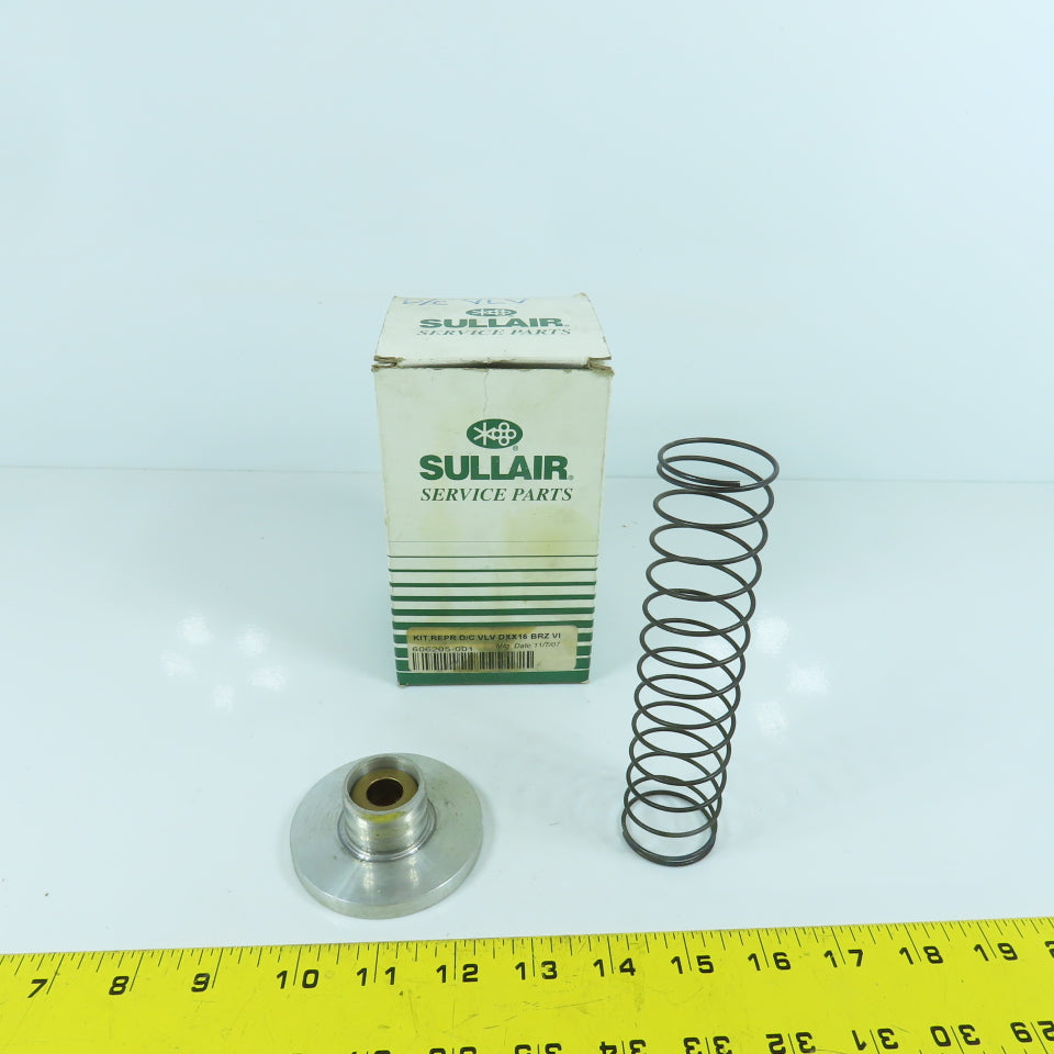 Sullair 606205-001 Genuine OEM Discharge Check Valve Repair Kit