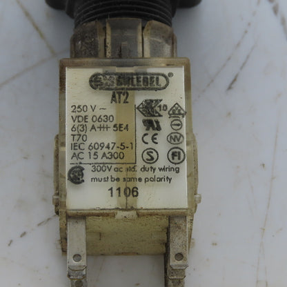 Schlege AT2 Maintained Key Selector Switch 2-Position W/Key 250V
