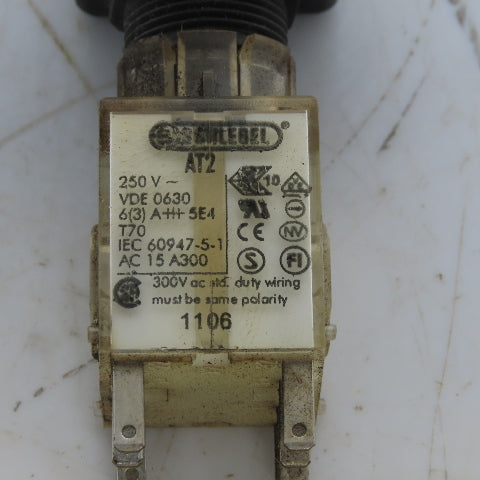 Schlege AT2 Maintained Key Selector Switch 2-Position W/Key 250V