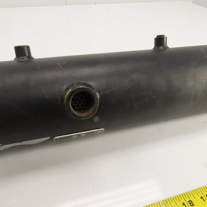 Rosedale 4123/4P2200CDVNB Basket Strainer Filter Housing 12"x4" 200 PSIG 3/4"NPT