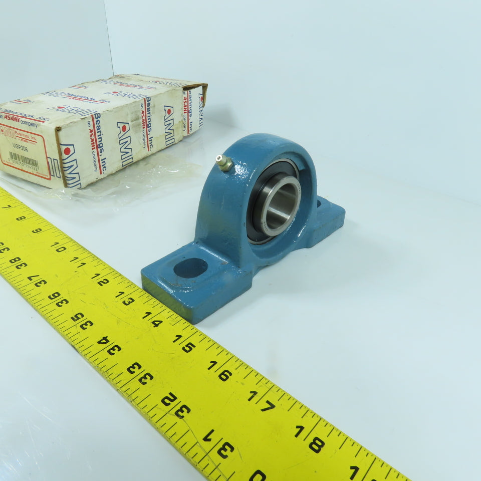 AMI UGP206 2-Bolt Pillow Block Bearing 30mm Bore