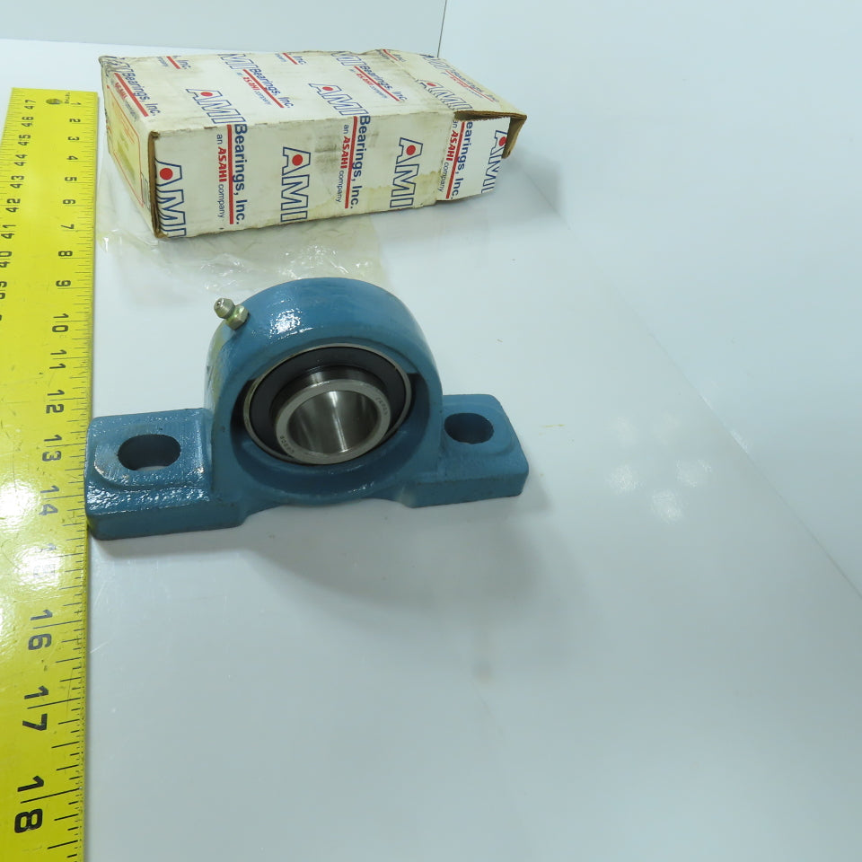 AMI UGP206 2-Bolt Pillow Block Bearing 30mm Bore