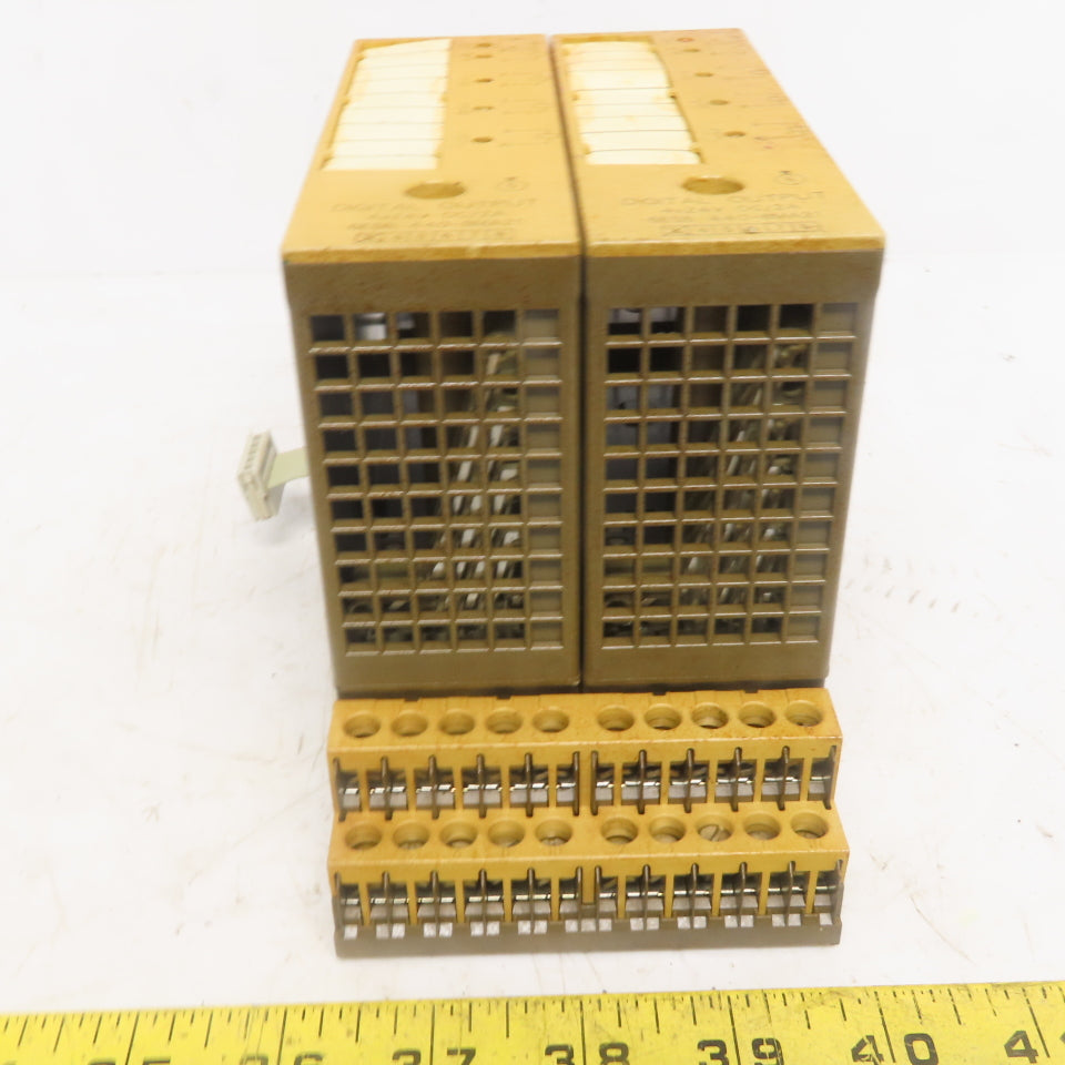 Siemens 6ES5 440-8MA21 (2) Digital Output Modules W/(1) 6ES5 700-8MA11 Base
