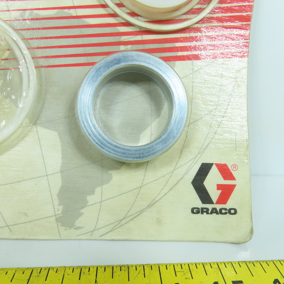 Graco 222-865 222865 Teflon Packings Repair Kit For Check-Mate 800 (Incomplete)