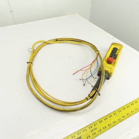 Telemecanique 4-Button Hoist Crane & Trolley Control Pendant W/11' Lead & E-Stop