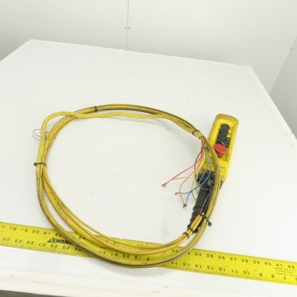 Telemecanique 4-Button Hoist Crane & Trolley Control Pendant W/11' Lead & E-Stop