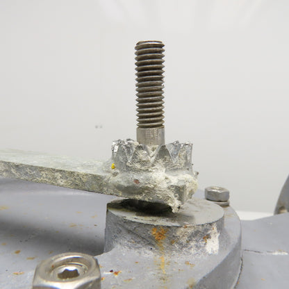 6" Stainless Steel Flange Mount Swing Check Valve W/ Lever Arm Counterweight