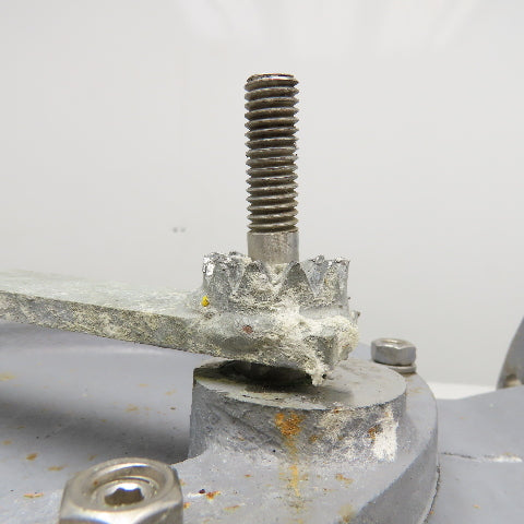 6" Stainless Steel Flange Mount Swing Check Valve W/ Lever Arm Counterweight