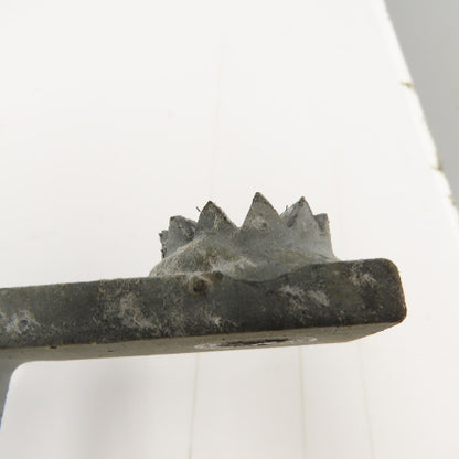 6" Stainless Steel Flange Mount Swing Check Valve W/ Lever Arm Counterweight