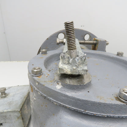 6" Stainless Steel Flange Mount Swing Check Valve W/ Lever Arm Counterweight