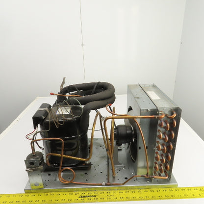 Thermo Fisher Refrigeration Compressor RF41C5E-CAA-250 & Condenser Assembly
