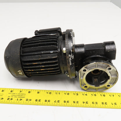 ISGEV A63B4 28:1 Ratio 57RPM Output Gear Motor 230/460V 3Ph .18/.22kW 50/60Hz