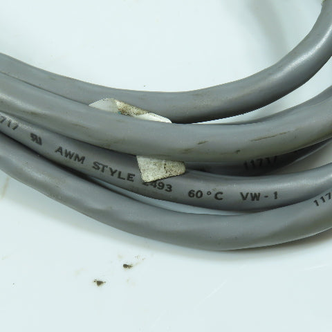 B5125A 11717 AWM Style 2493 Cordset 19 Pin Male x 13 Female 18' OAL