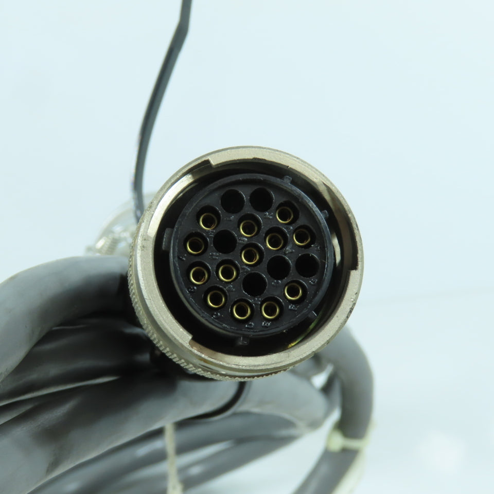 B5125A 11717 AWM Style 2493 Cordset 19 Pin Male x 13 Female 18' OAL