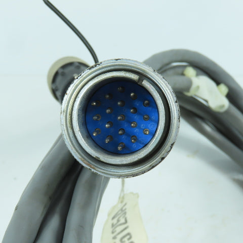 B5125A 11717 AWM Style 2493 Cordset 19 Pin Male x 13 Female 18' OAL