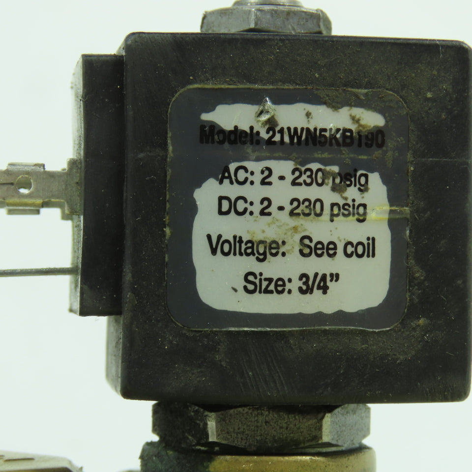 ODE 21WN5KB190 3/4" NPT Brass Solenoid Valve