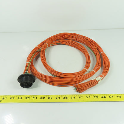 CV-V431-0224-2B 31-Pin Receptacle Connector W/ 15AWG Wire 8' OAL