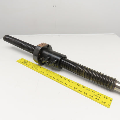 Ball Screw & Nut 2-1/4" OD Single Start 1/2" Pitch 34" Screw Length 42" OAL