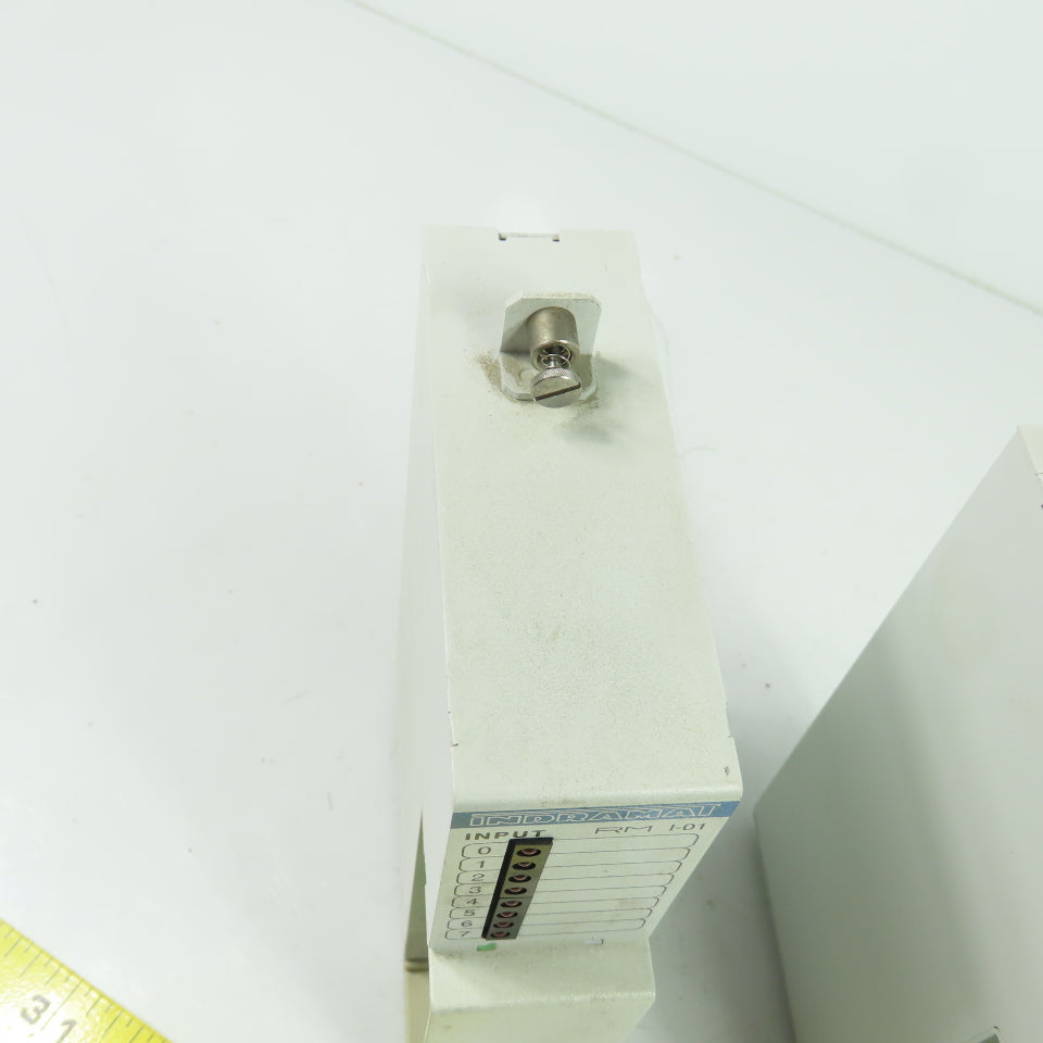 Indramat RM I-01 24VDC Input Module 10mA Lot Of 2