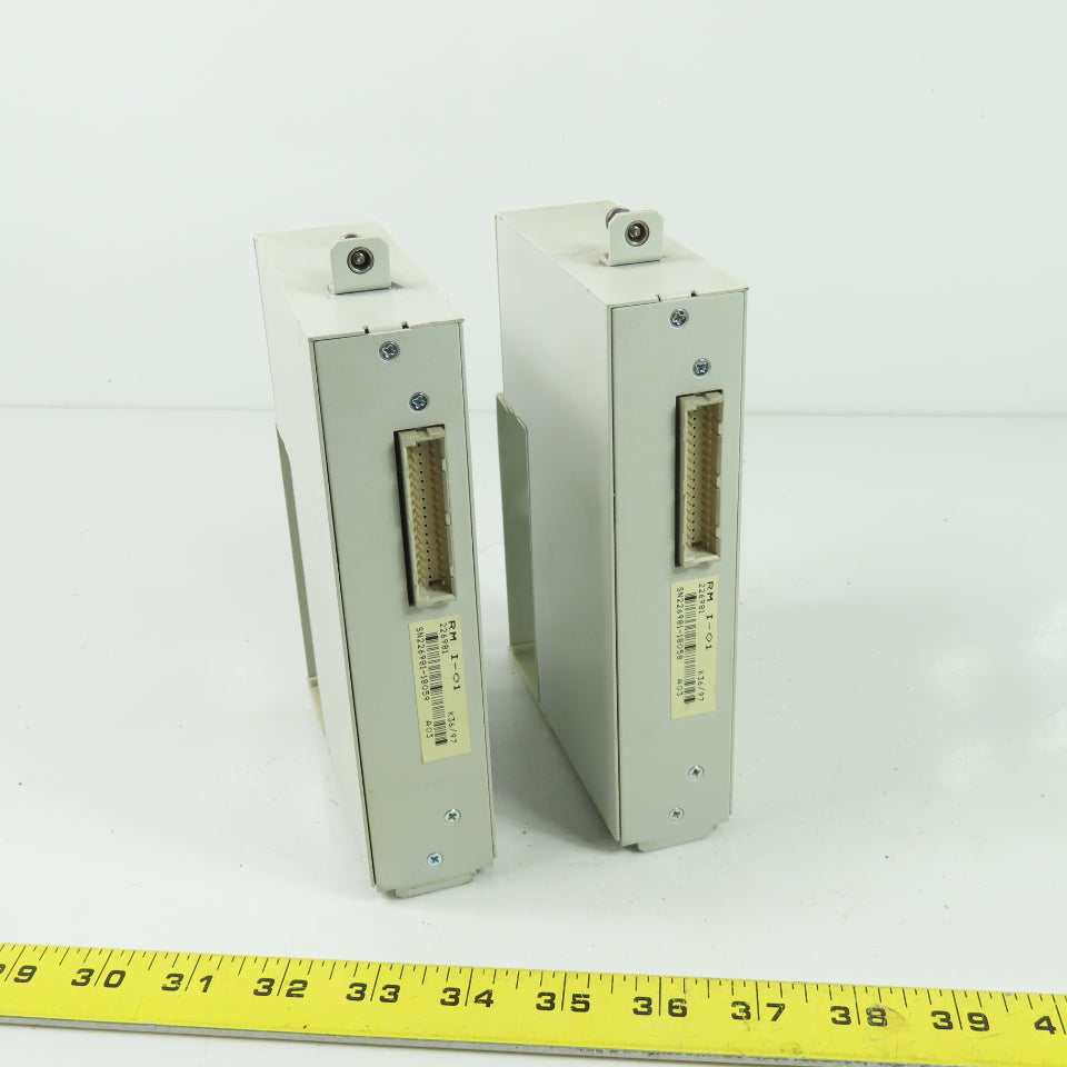 Indramat RM I-01 24VDC Input Module 10mA Lot Of 2
