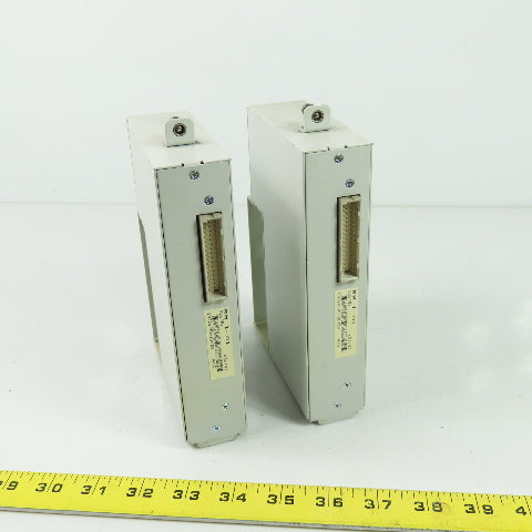 Indramat RM I-01 24VDC Input Module 10mA Lot Of 2