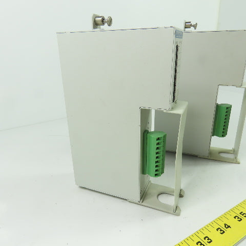 Indramat RM I-02 115VAC 60Hz Input Module 30mA Lot Of 2