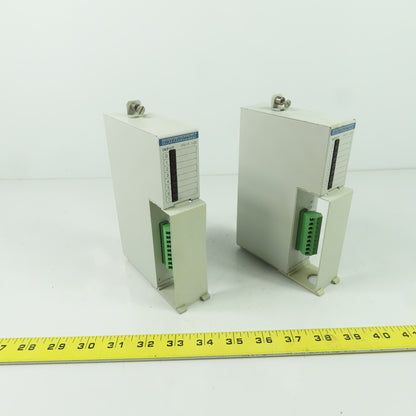 Indramat RM I-02 115VAC 60Hz Input Module 30mA Lot Of 2