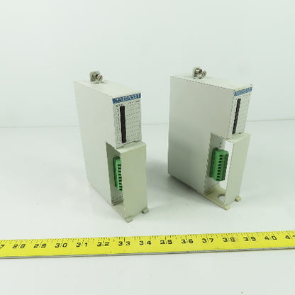 Indramat RM I-02 115VAC 60Hz Input Module 30mA Lot Of 2