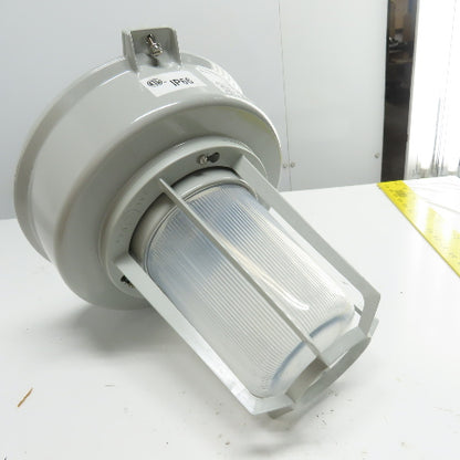 AZZ Rig-A-Lite SAF15S04RGG Hazardous Location Lighting Fixture HPS 120-277V