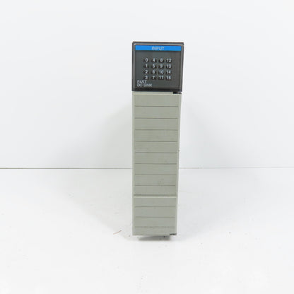 Allen Bradley 1746-ITB16 Ser C SLC 500 Input Module (No Terminal Strip)