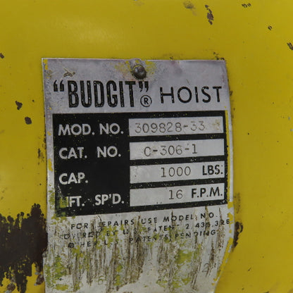 Budgit 309828-33 1/2 Ton Electric Roller Chain Hoist 10' Lift 16FPM 460V 3PH