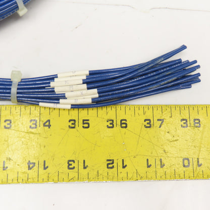 Sine 20 Position 40mm Circular Grounded Shell 16AWG Wire Cable Assembly 20'