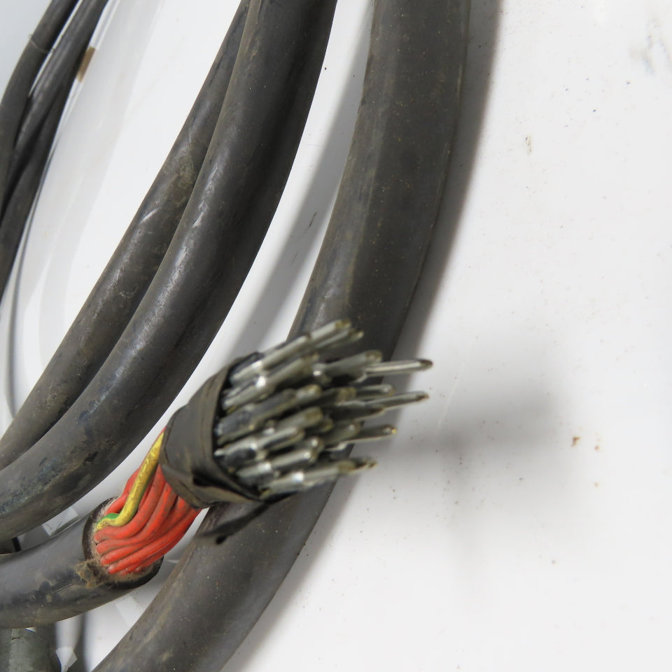 AMP Female Connector 25 Wire Cordset Cable 18' Length