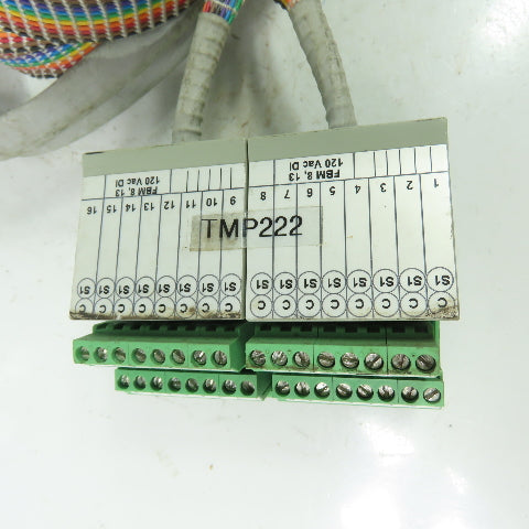 Foxboro DM500SC FBM-8/13 Rev C Terminal Cable Assembly