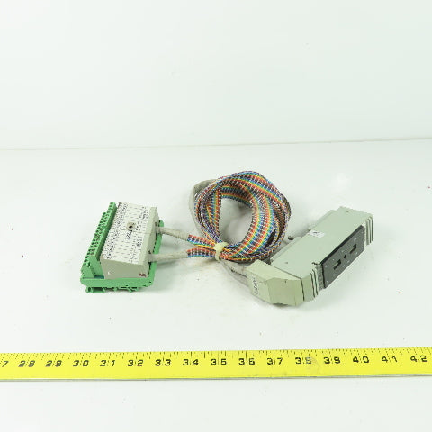 Foxboro DM500SC FBM-8/13 Rev C Terminal Cable Assembly