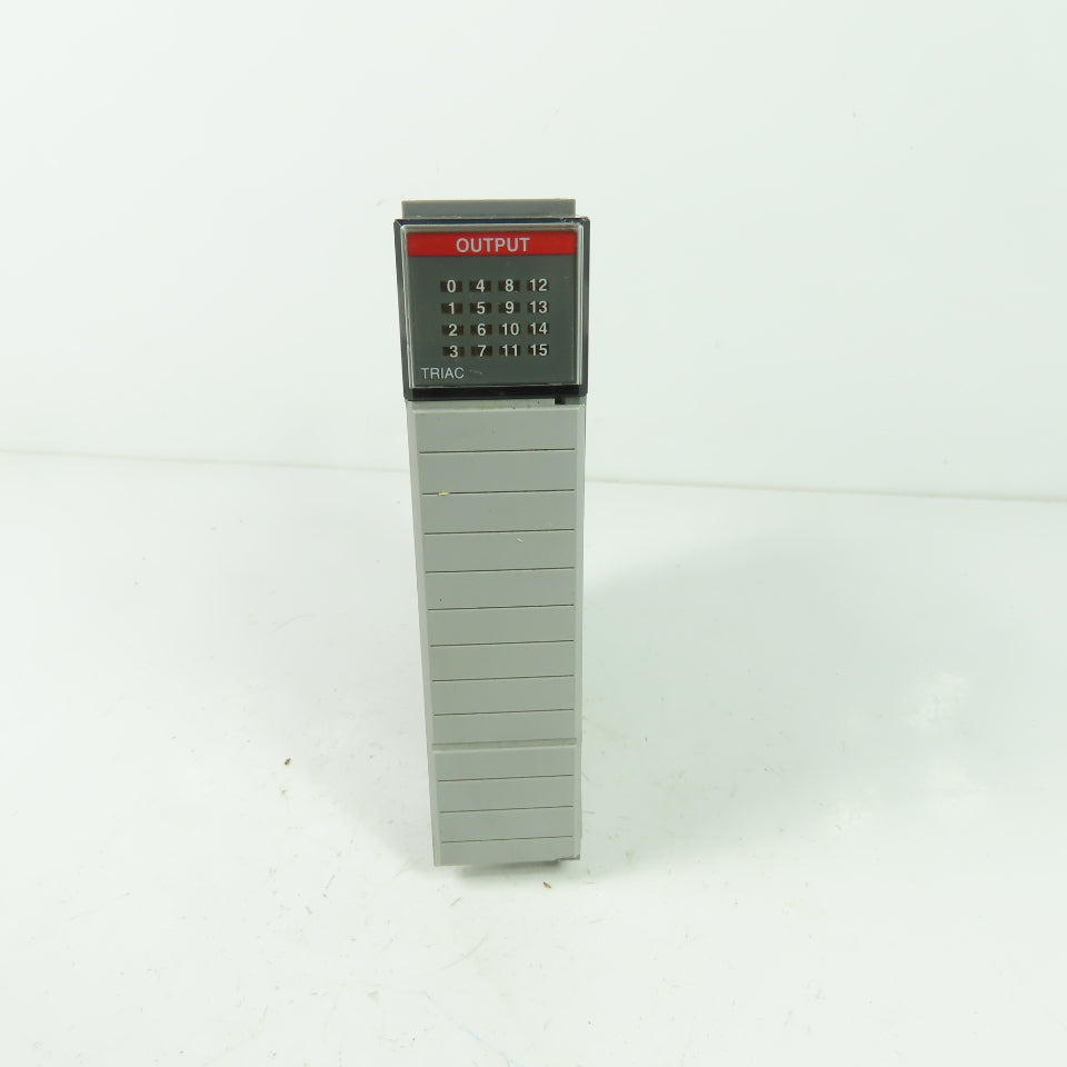 Allen Bradley 1746-0A16 Ser D SLC500 Output Module (No Terminal Strip)