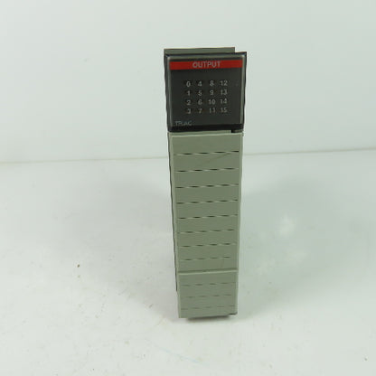 Allen Bradley 1746-0A16 Ser C SLC500 Output Module W/Heatsink