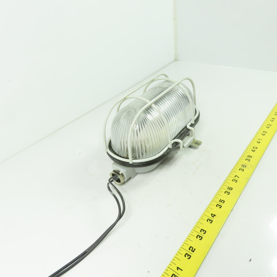 A 2601210 SDAVAV Oval Bulkhead Machine Light W/ Steel Guard
