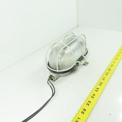 A 2601210 SDAVAV Oval Bulkhead Machine Light W/ Steel Guard
