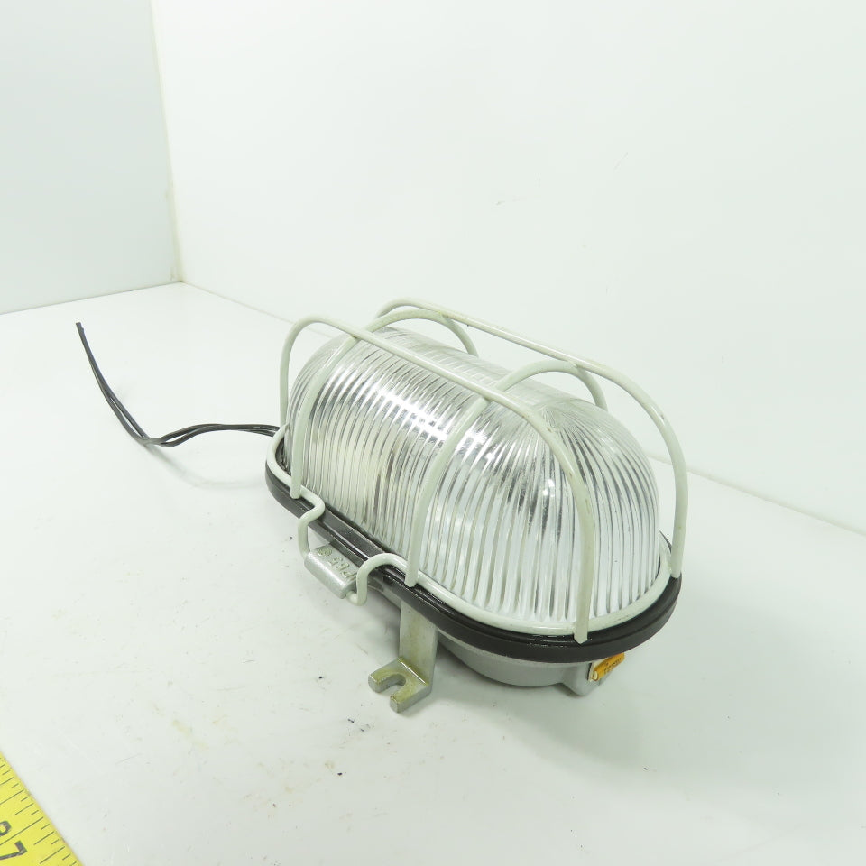 A 2601210 SDAVAV Oval Bulkhead Machine Light W/ Steel Guard