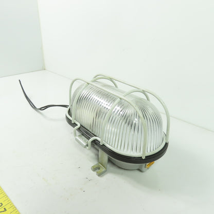 A 2601210 SDAVAV Oval Bulkhead Machine Light W/ Steel Guard