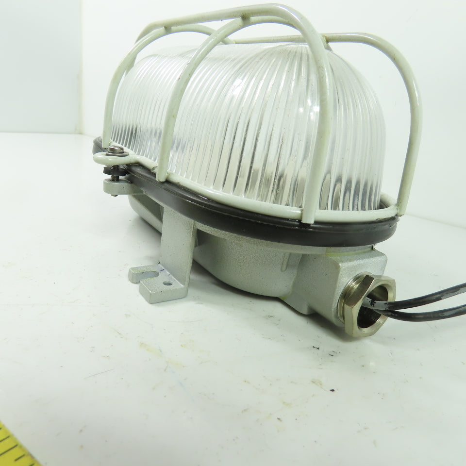A 2601210 SDAVAV Oval Bulkhead Machine Light W/ Steel Guard