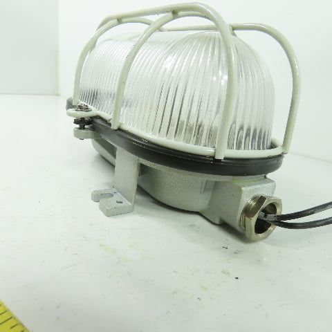 A 2601210 SDAVAV Oval Bulkhead Machine Light W/ Steel Guard