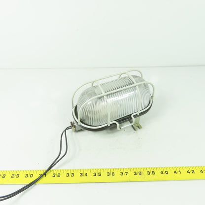 A 2601210 SDAVAV Oval Bulkhead Machine Light W/ Steel Guard