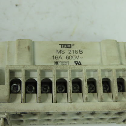 Thomas Betts MS 216B 16-Pin Male Connector W/ FS 116B 16-Pin Female Connector
