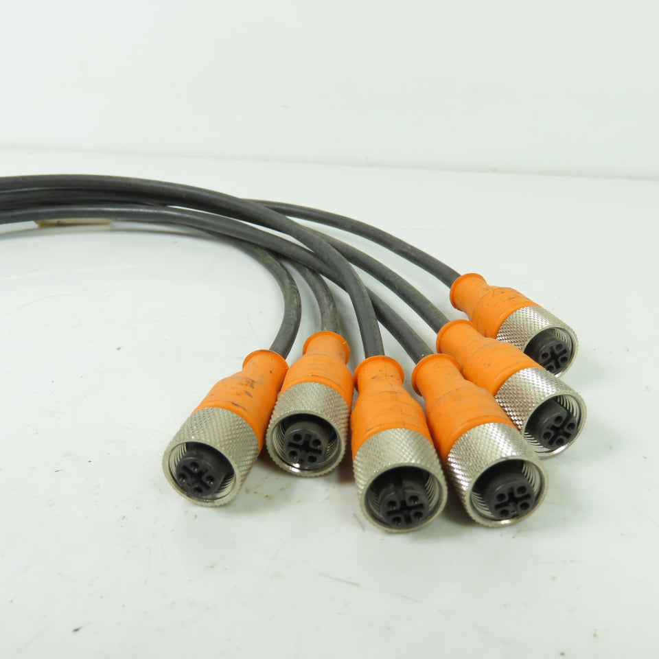 Amphenol PT08E-4-19P 19-Pin Male Connector Plug W/ (6) 4-Pin Female Connectors