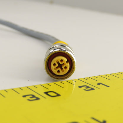 Turck RK 4.4T-10-RK 4.4T U2446-00 Eurofast Cable Cordset 4-Pin Female x Female