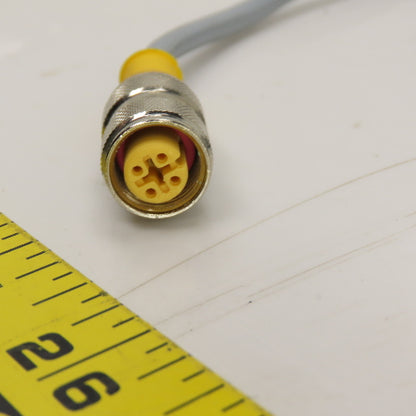 Turck RK 4.4T-10-RK 4.4T U2446-00 Eurofast Cable Cordset 4-Pin Female x Female